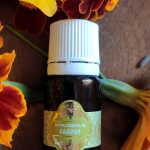 CAJEPUT - kajeput esenciálny olej 100% naturálne Jain´s 10 ml