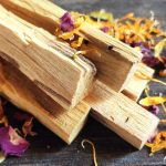 Palo Santo zväzok 5 drievok