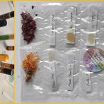 Permufe oil roll-on sample wish sheet