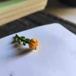 Berberis 🌼 náušničky ♥ 2cm