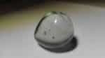 Andara L5 37g - Image 8