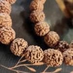Náramok Rudraksha prírodná 8mm /21cm
