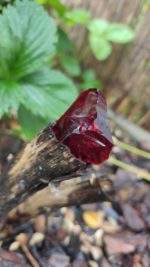 Andara ♥  Andaré  * BR19 / 9g - Image 2