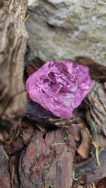 Andara ♥  Andaré Pink 5 / 54g