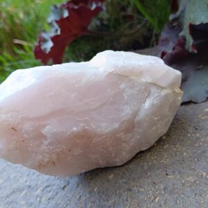 Ruženín surový 395g