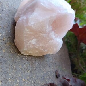 Ruženín surový 352g