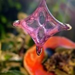Amulet Andara - Sirius star Lila