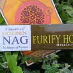 Vonné tyčinky Vijayshree Golden Nag PURIFY HOUSE - očista domova 15g