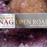 Vonné tyčinky Vijayshree Golden Nag Open road - Otvorené cesty 15 g