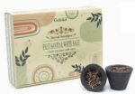 SAMBRANI CUPS GOLOKA PALO SANTO WHITE SAGE * 6 cups