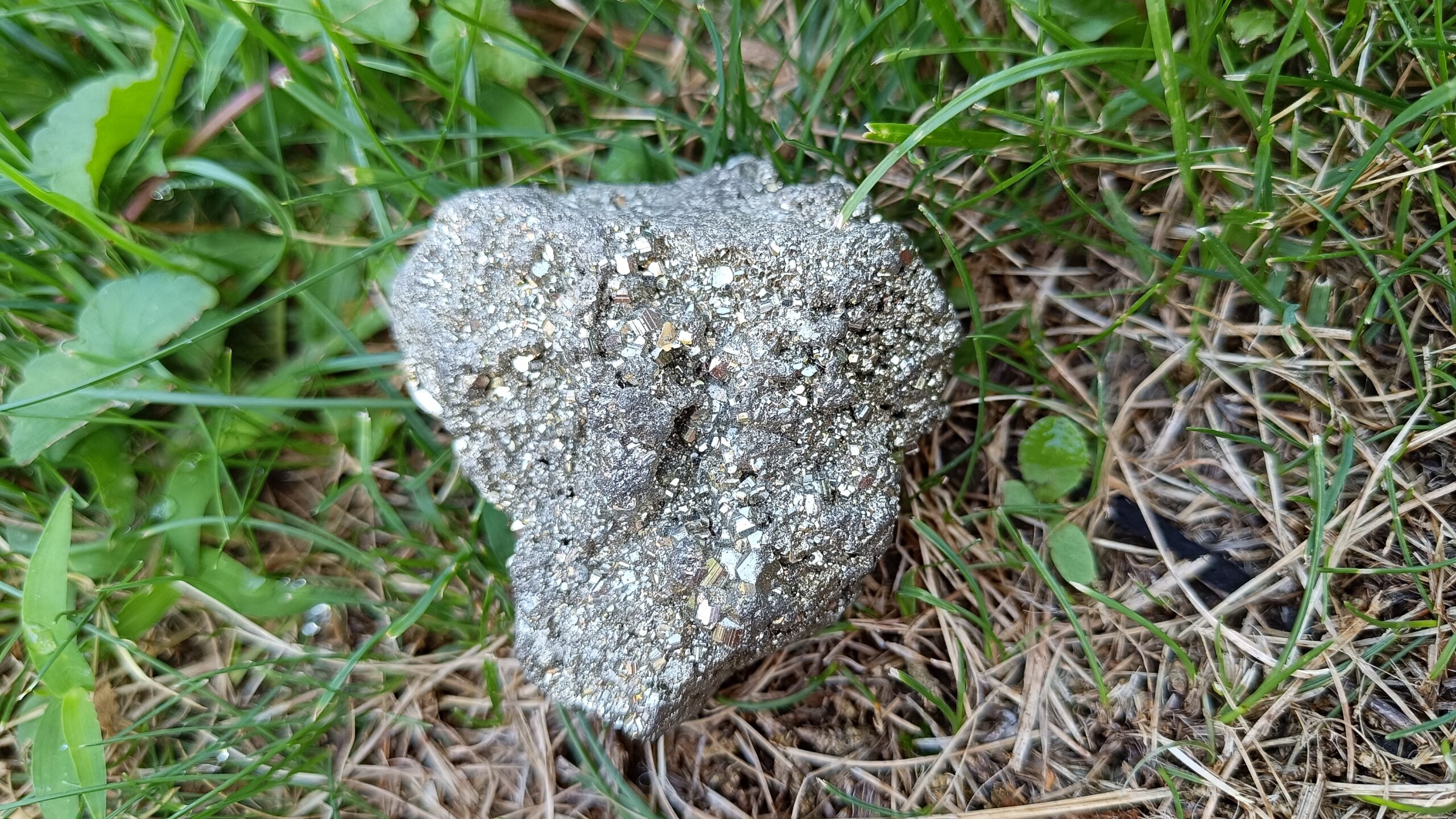 IMG_20250811_104137 pyrit  ♥ 5 x 5 cm - Image 2