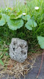 pyrit  ♥ 6 x 4.5cm - Image 2