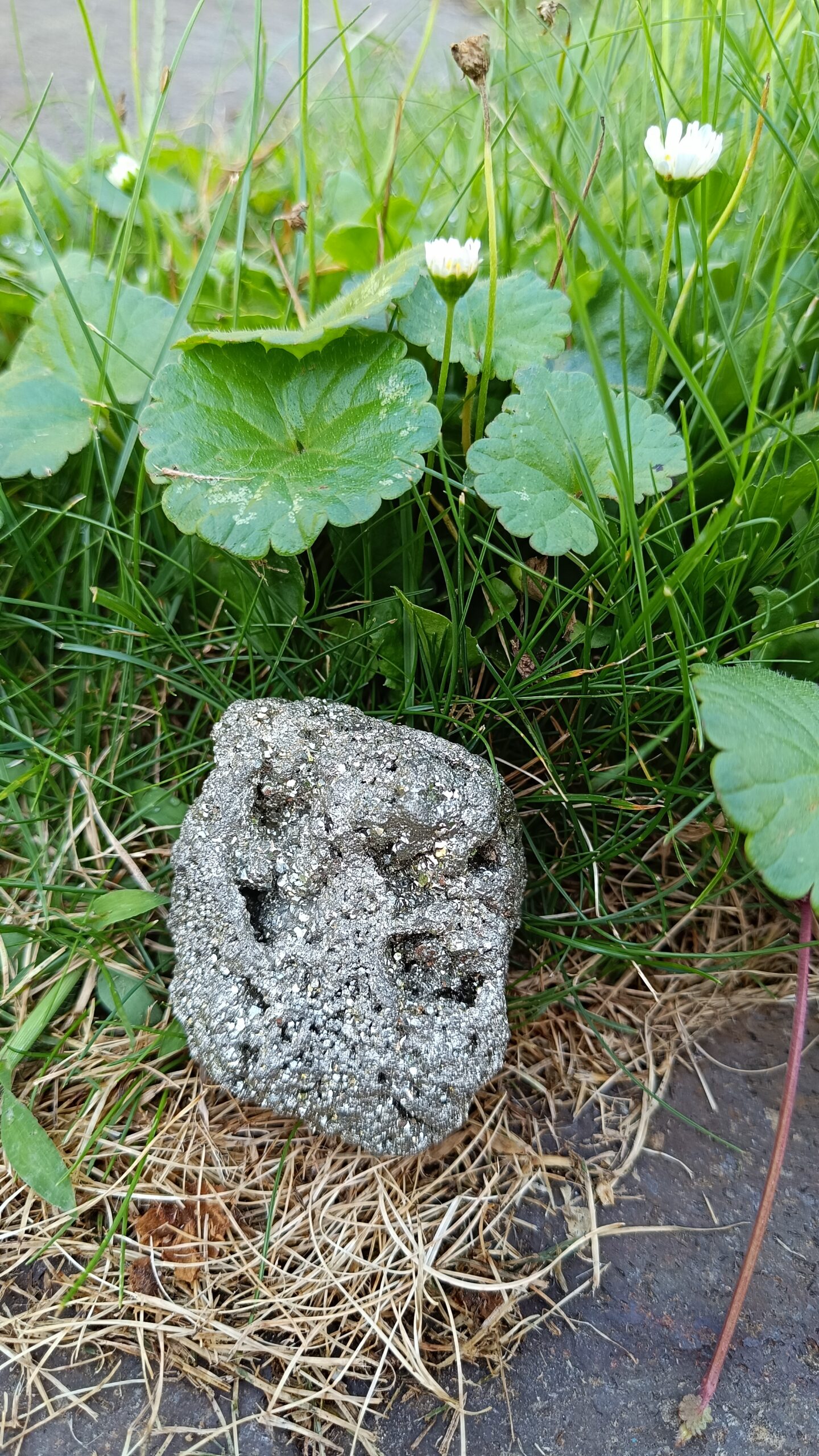 IMG_20250811_104207 pyrit  ♥ 6 x 4.5cm - Image 2