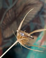 Ring Andara ♥  Andaré  * PR 5 15 mm / 1g - Image 2