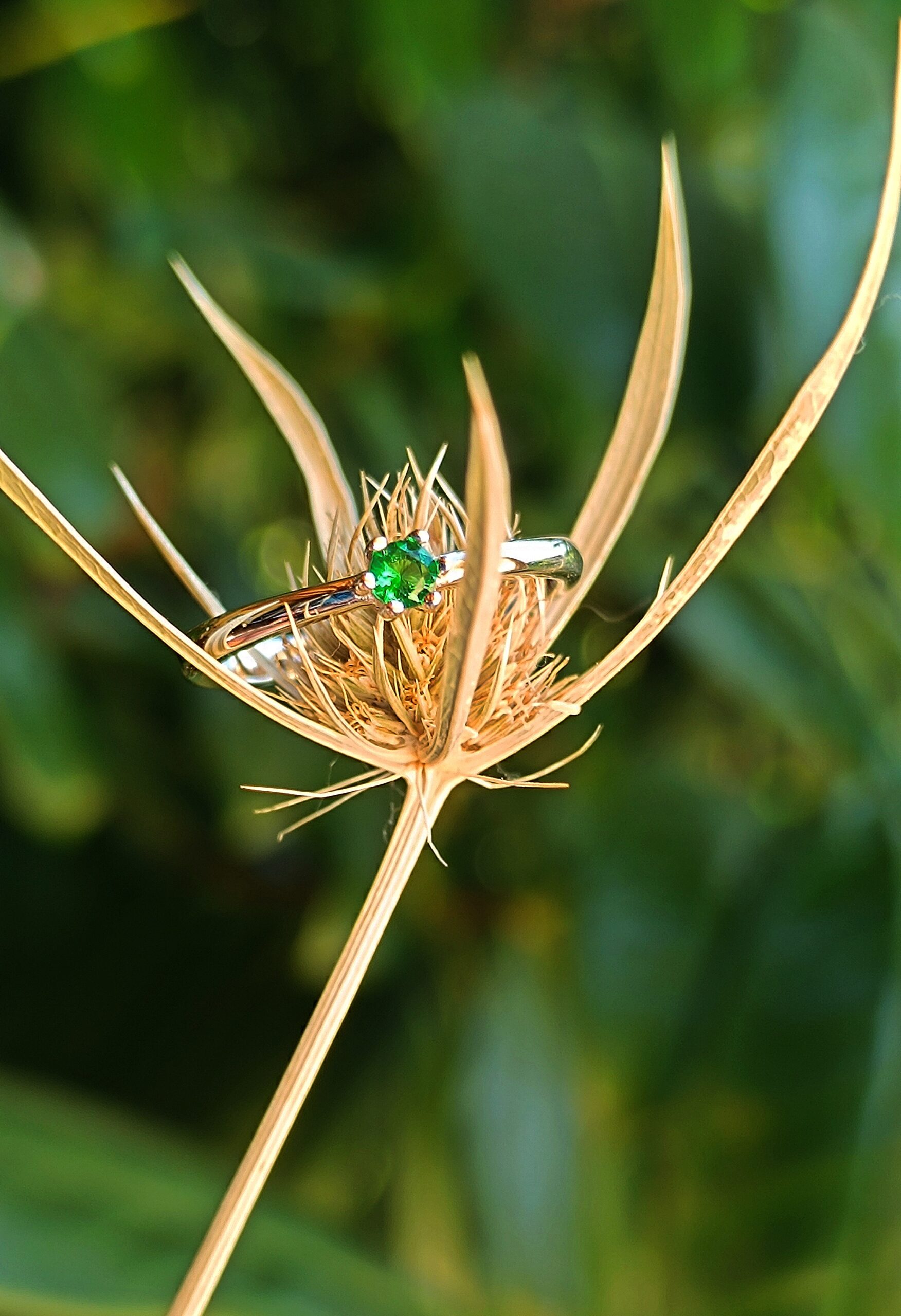 IMG_20250815_172647 Prsteň Andara ♥ Andaré "Prstienok radosti" 8 15 mm / 1g - Image 1