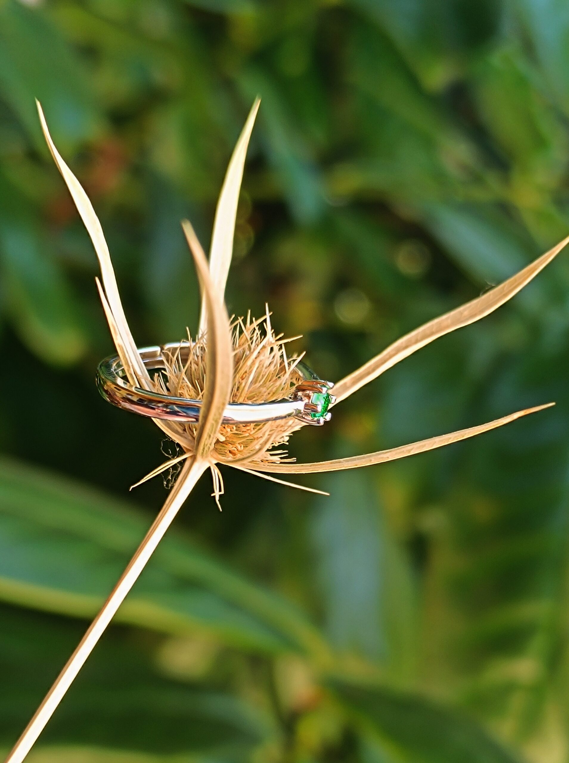 IMG_20250815_172721 Prsteň Andara ♥ Andaré "Prstienok radosti" 8 15 mm / 1g - Image 2
